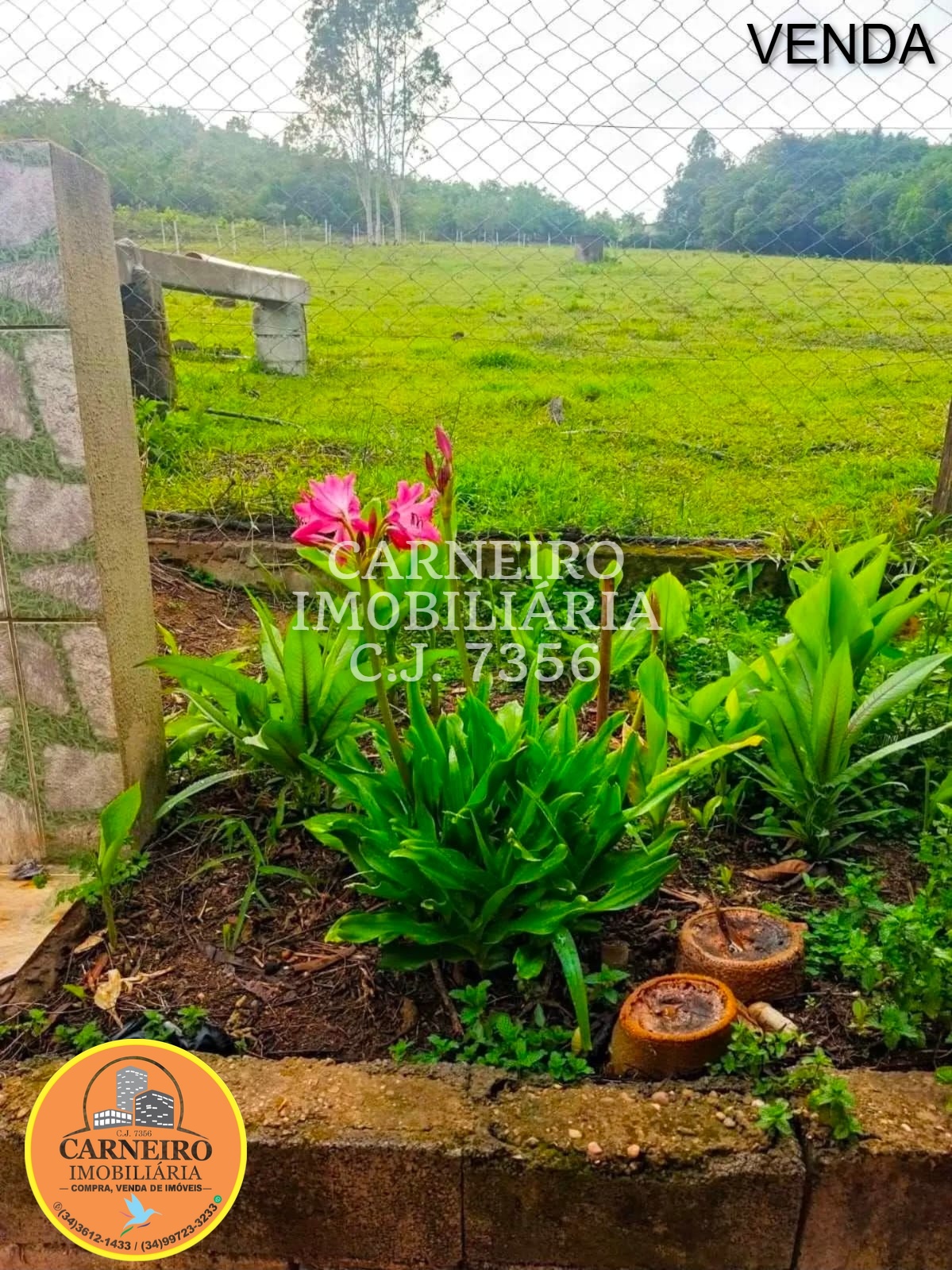 WhatsApp Image 2026-03-26 at 17.19.15 (1)