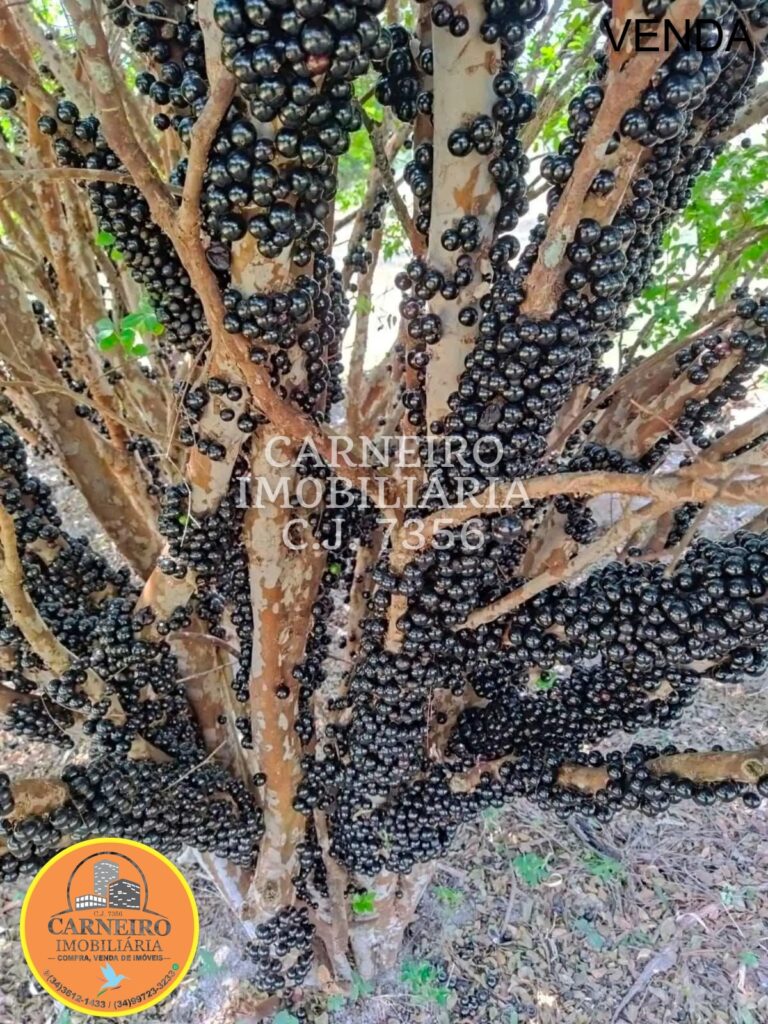 WhatsApp Image 2026-03-26 at 17.19.15