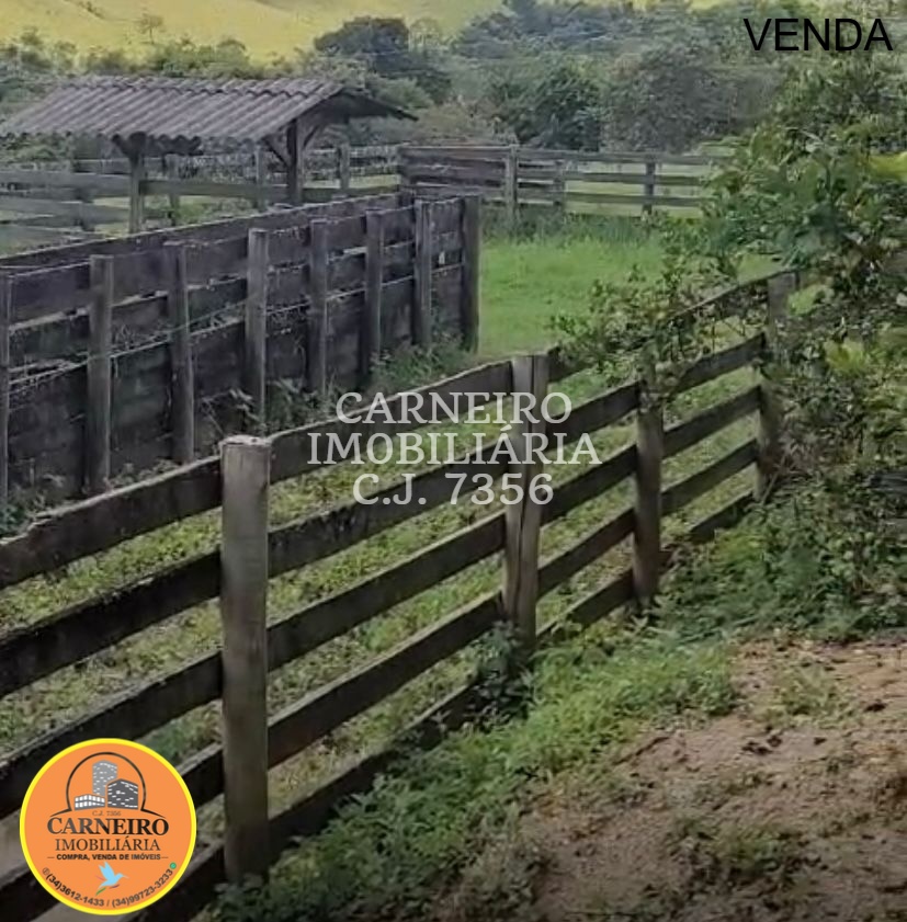 WhatsApp Image 2025-12-15 at 09.59.44 (1)