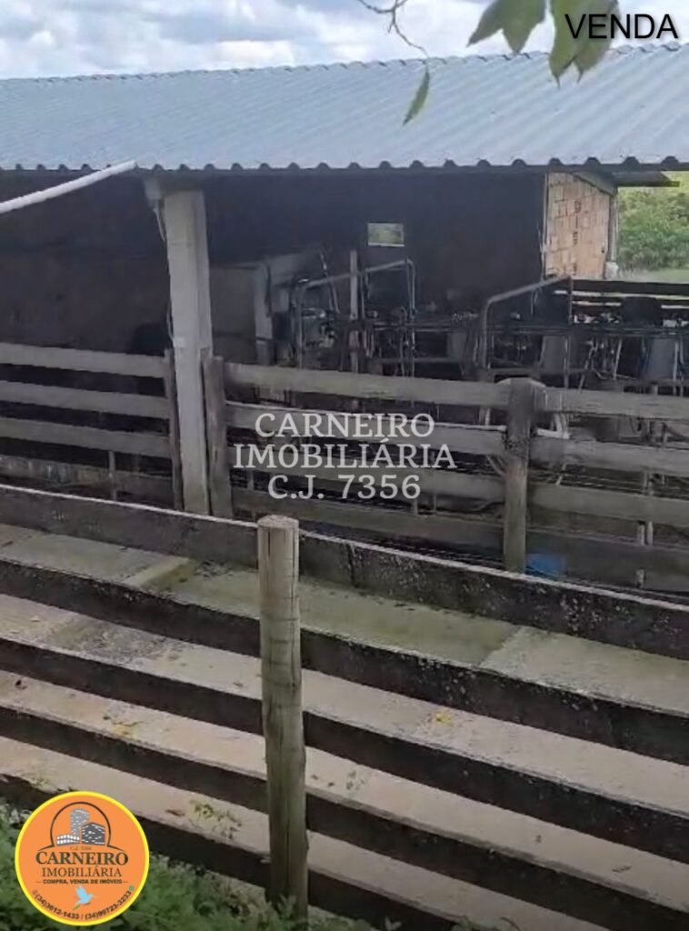 WhatsApp Image 2025-12-15 at 09.59.44