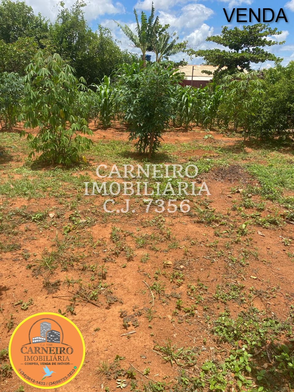 WhatsApp Image 2025-12-12 at 11.56.21 (2)