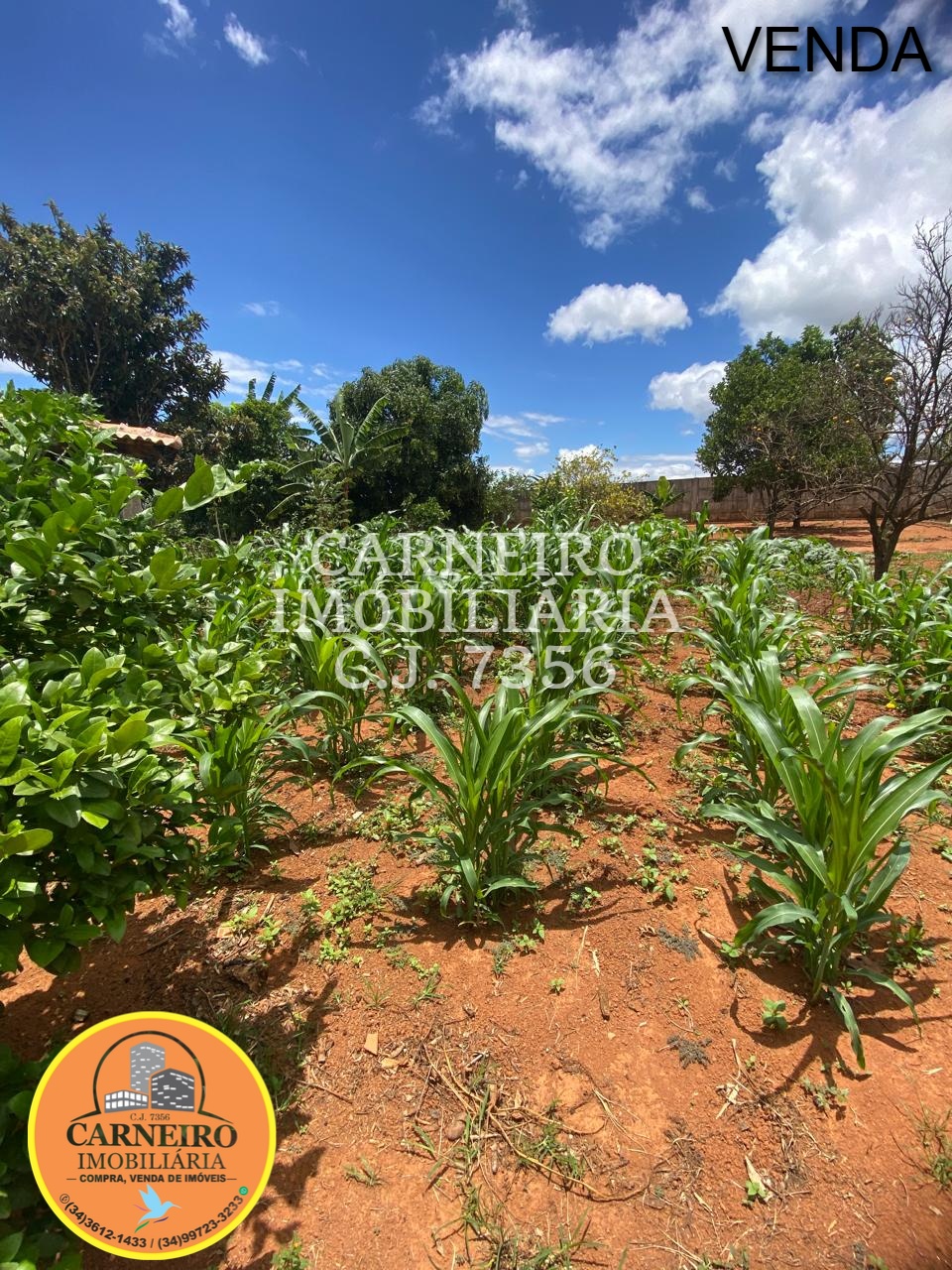 WhatsApp Image 2025-12-12 at 11.56.21 (3)