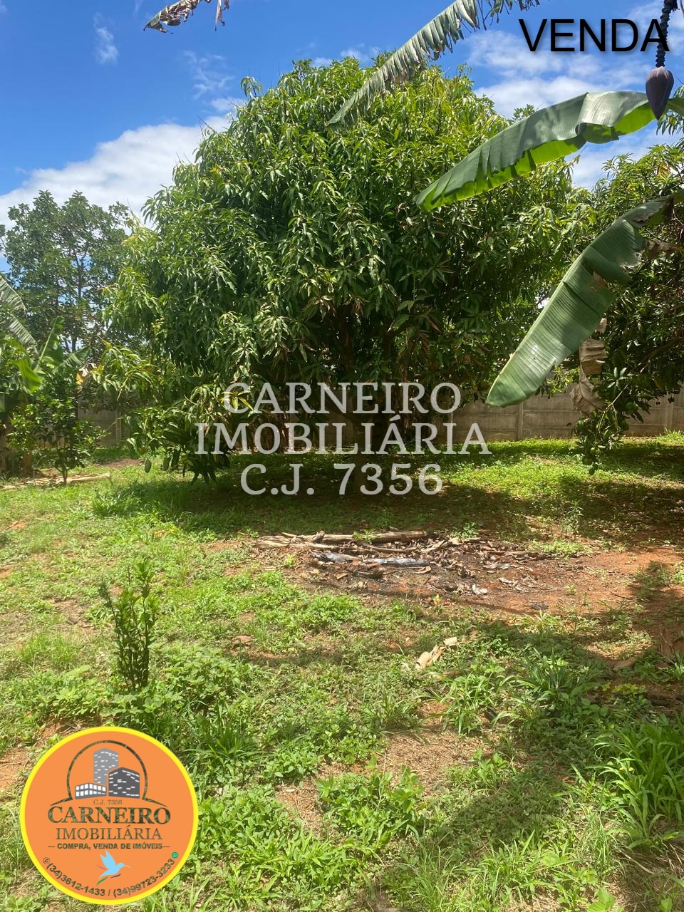 WhatsApp Image 2025-12-12 at 11.56.21 (8)