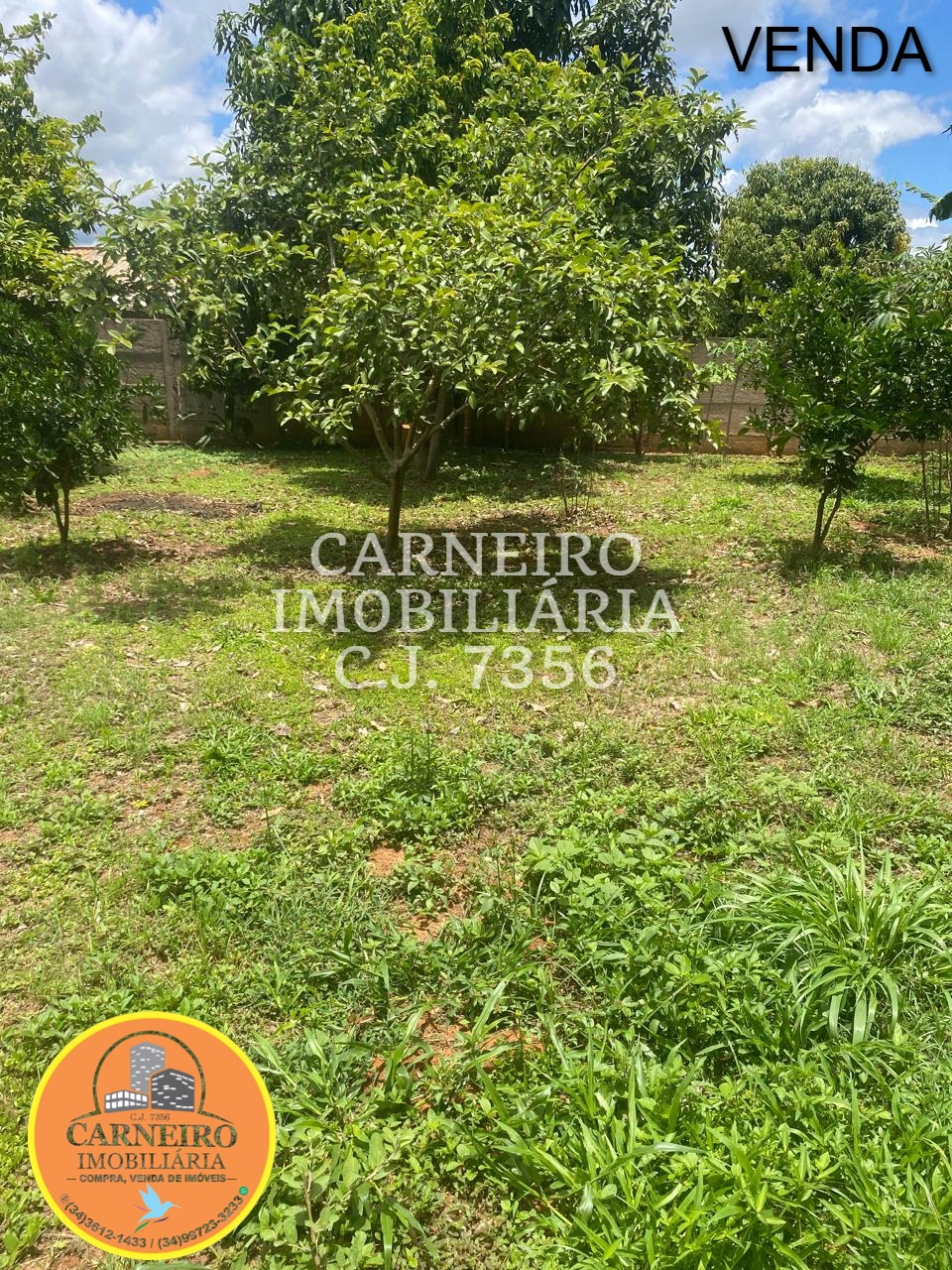 WhatsApp Image 2025-12-12 at 11.56.21 (9)