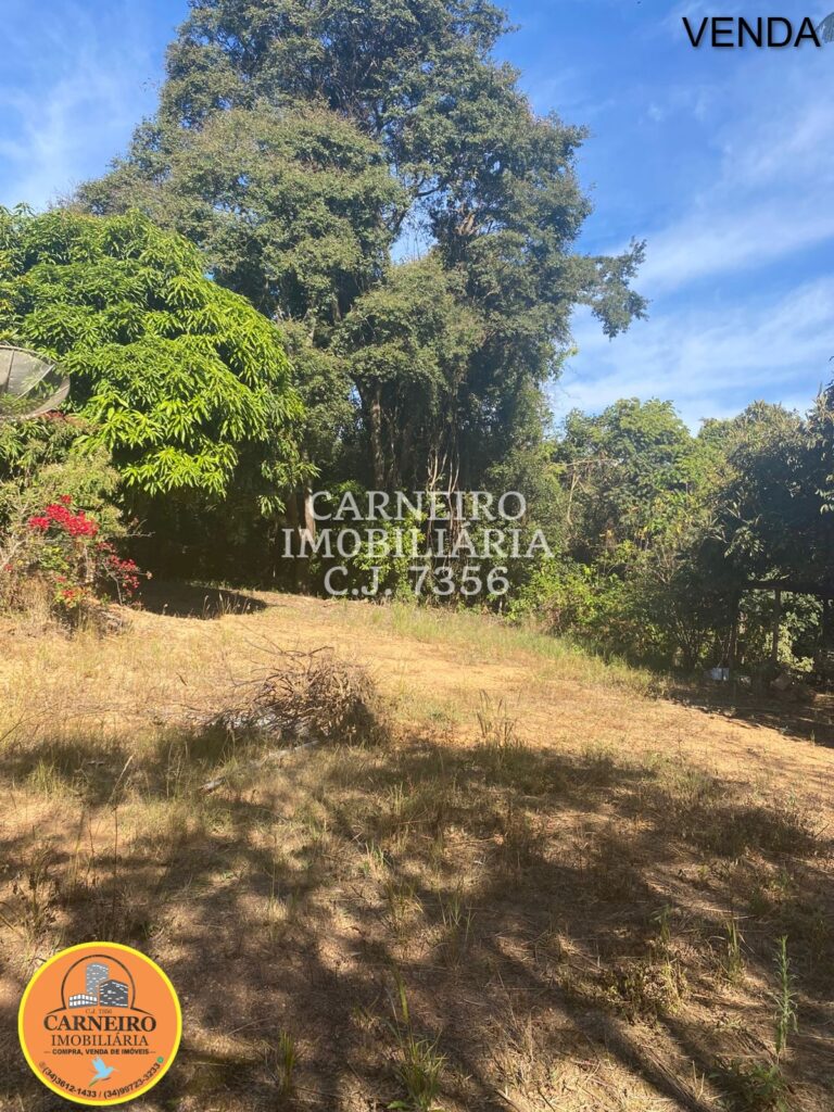 Imagem do WhatsApp de 2025-07-24 à(s) 15.22.42_79c2c7e0