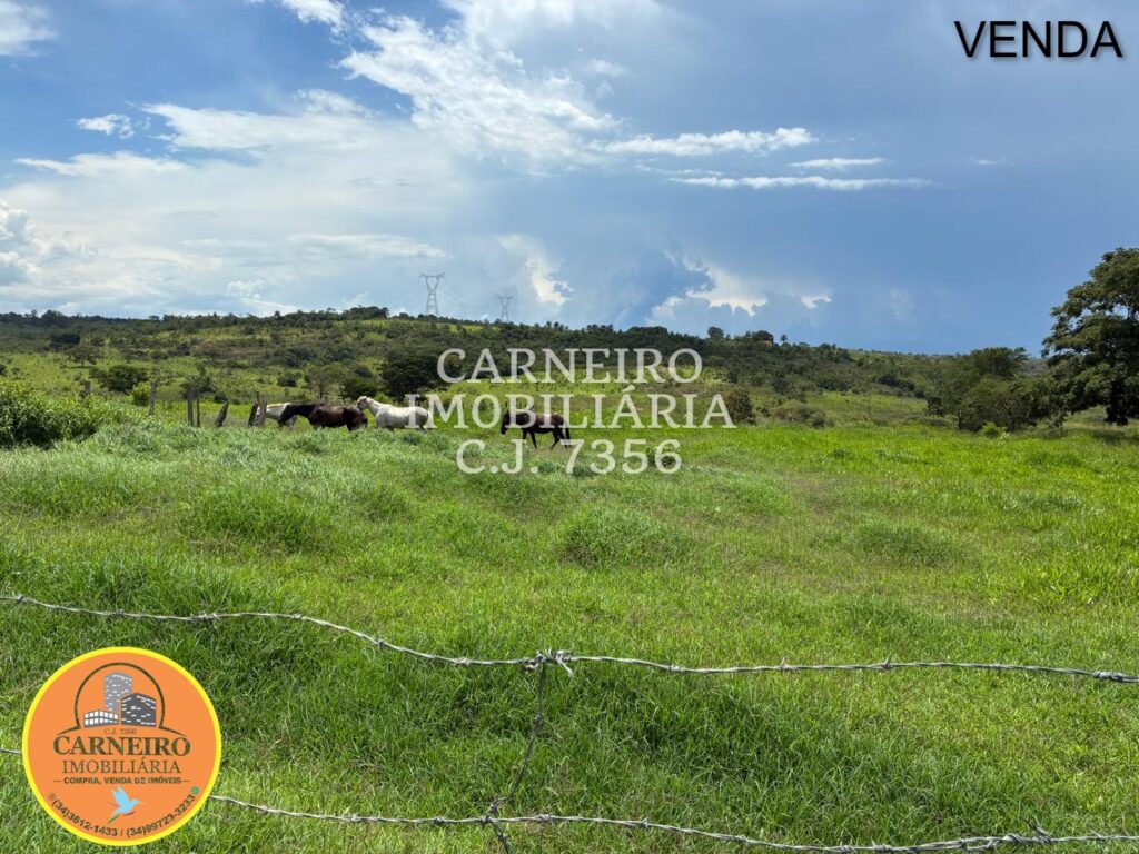 WhatsApp Image 2026-03-26 at 12.21.46 (1)