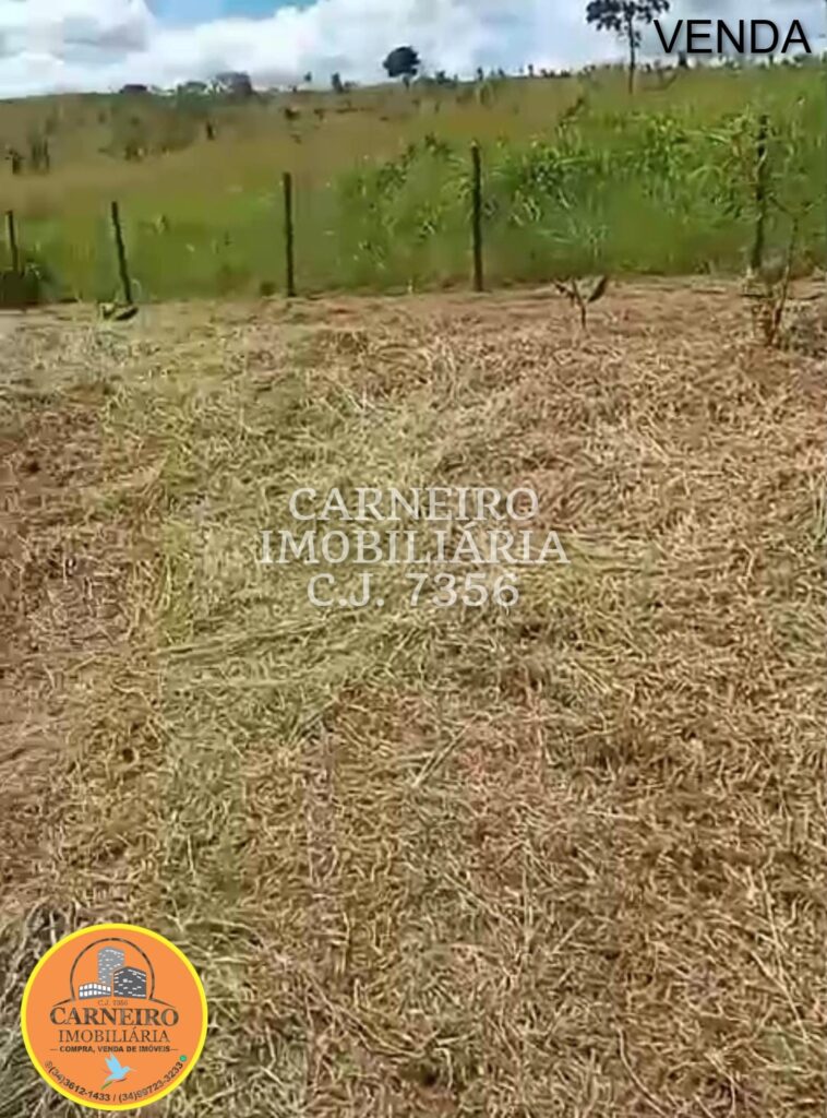 WhatsApp Image 2025-04-01 at 16.59.48 (3)