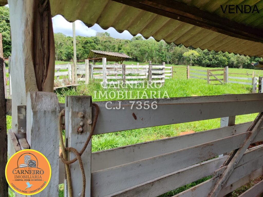 WhatsApp Image 2026-03-26 at 16.22.33 (2)