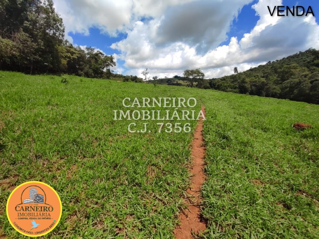 WhatsApp Image 2026-03-26 at 16.22.33 (3)