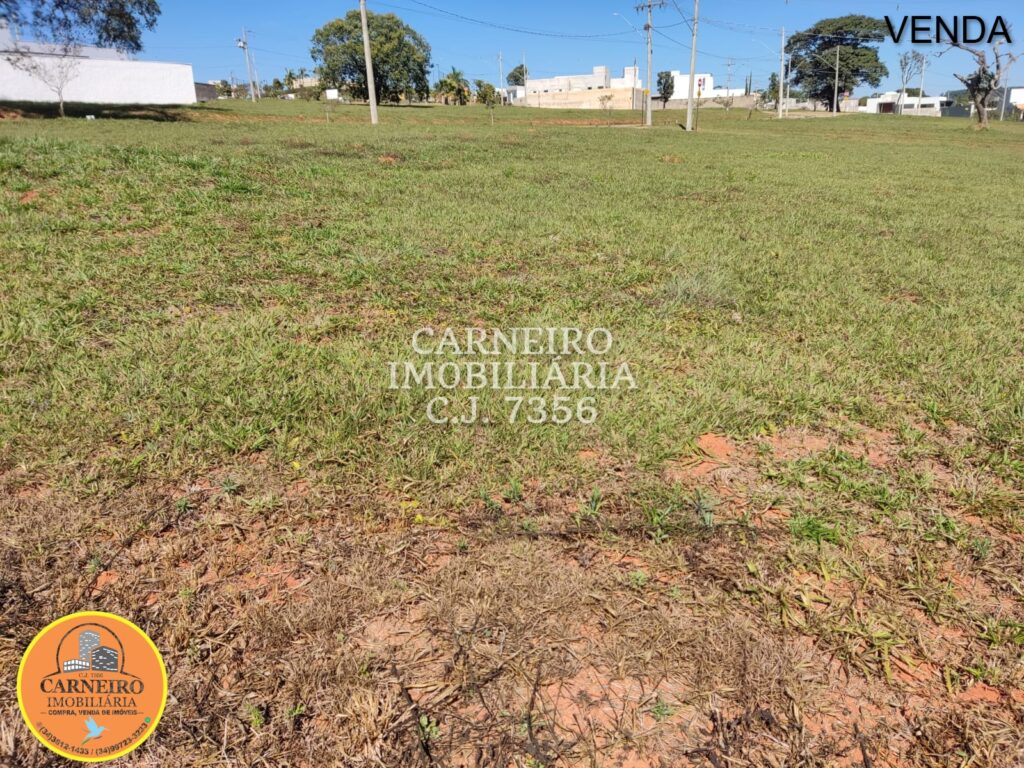 Imagem do WhatsApp de 2025-07-24 à(s) 15.26.33_a158a6c0 (1)