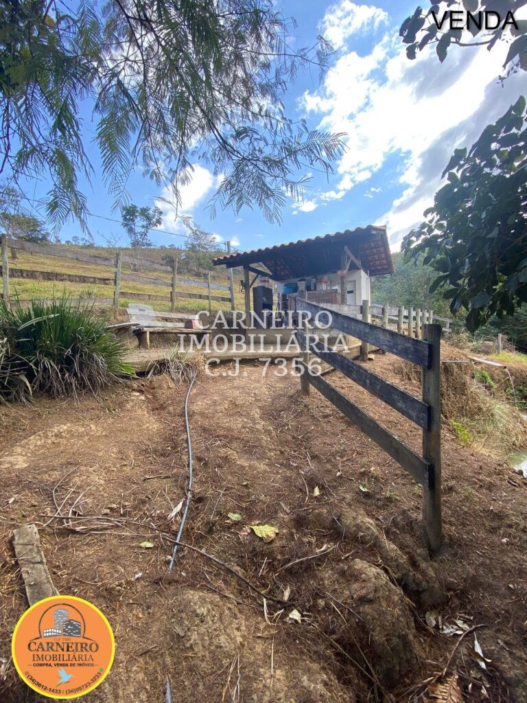 Imagem do WhatsApp de 2025-07-31 à(s) 20.28.40_6c4f6186