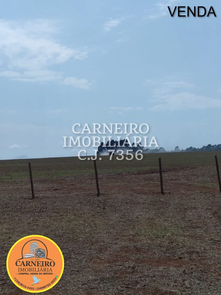 Imagem do WhatsApp de 2025-08-18 à(s) 11.20.52_e1d7602f