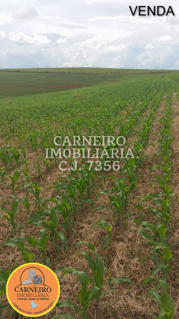 Imagem do WhatsApp de 2025-08-18 à(s) 11.20.53_2d5a1905