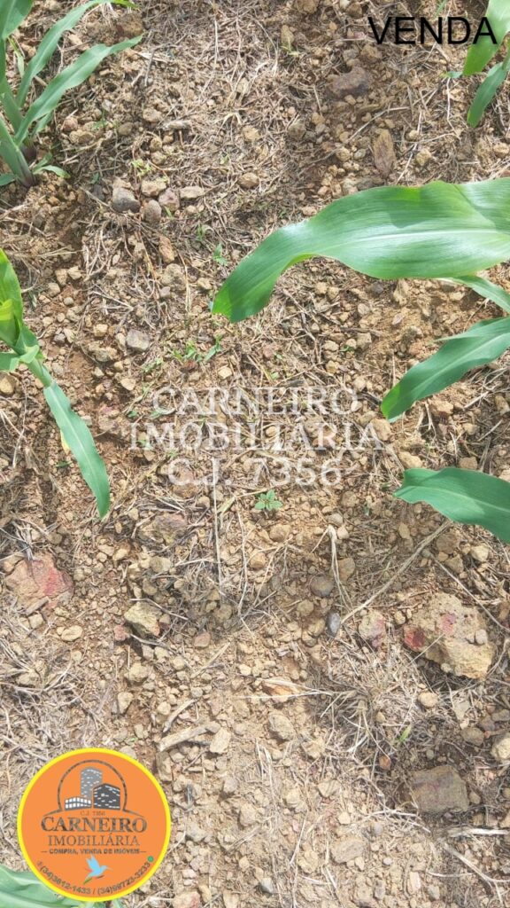 Imagem do WhatsApp de 2025-08-18 à(s) 11.20.54_d7b9aa9a