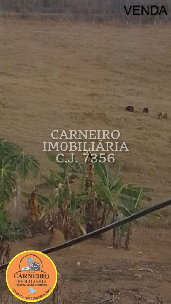 Imagem do WhatsApp de 2025-08-22 à(s) 19.43.42_9672f585