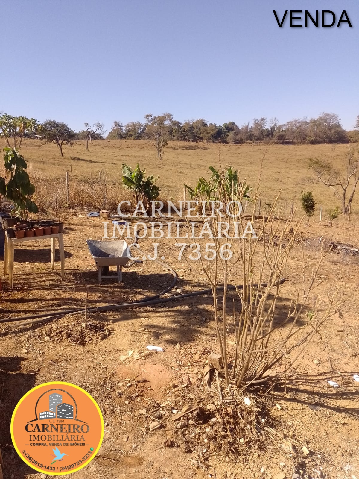 Imagem do WhatsApp de 2025-08-22 à(s) 19.43.44_4126affe
