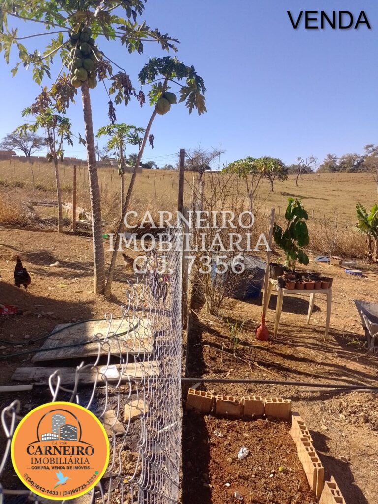 Imagem do WhatsApp de 2025-08-22 à(s) 19.43.45_0f6119f3