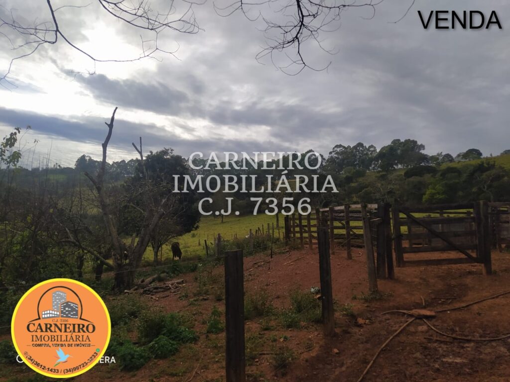 Imagem do WhatsApp de 2025-08-22 à(s) 19.44.21_3bb2f5cf