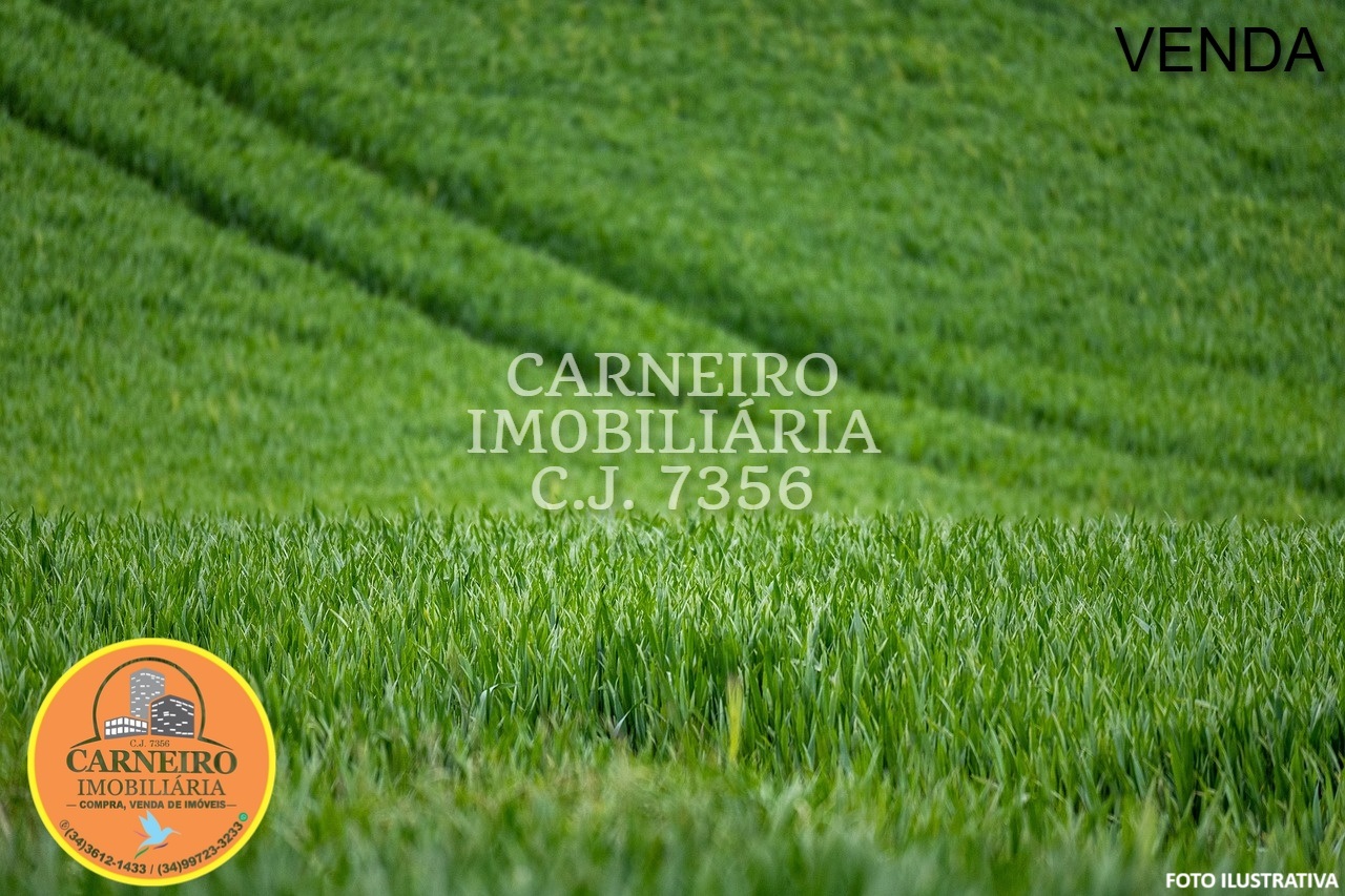 wheat-7208997_1280 (1)