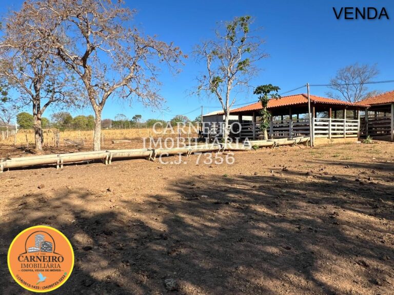 Fazenda Norte de Minas – 3 milhões e 500 mil