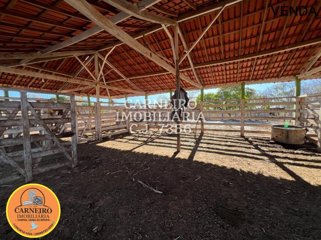 Imagem do WhatsApp de 2025-10-24 à(s) 14.08.35_237633e3