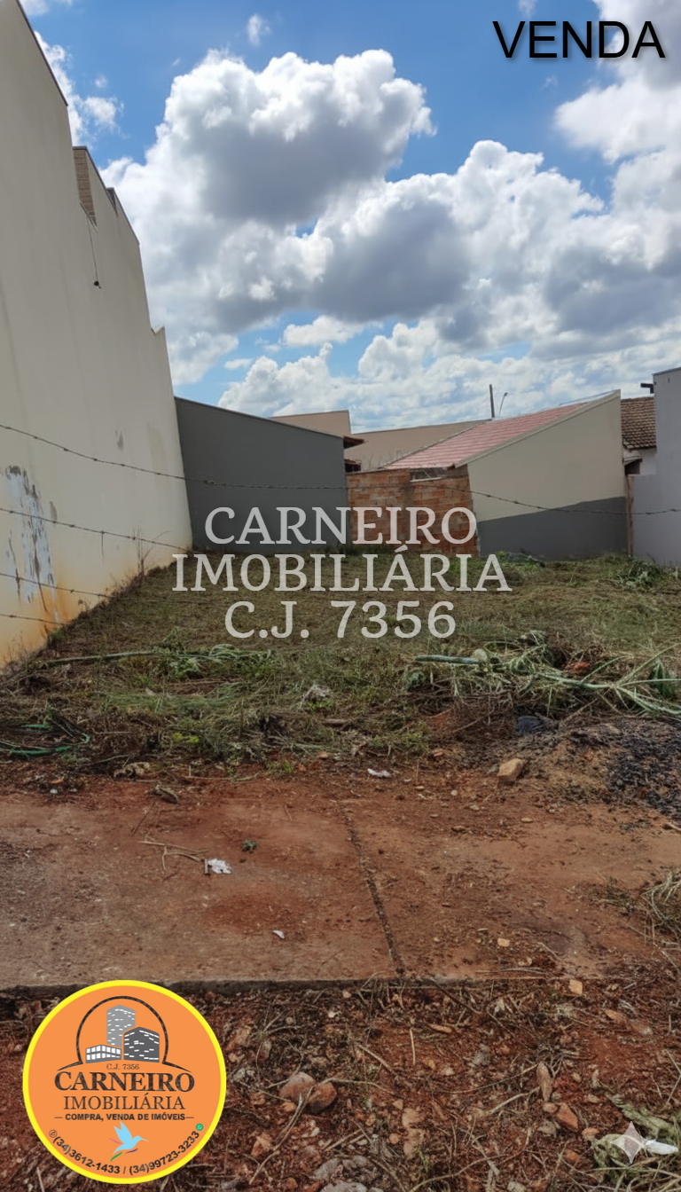 Gemini_Generated_Image_vgmeujvgmeujvgme (1)