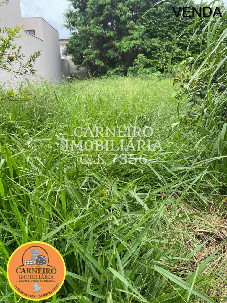 WhatsApp Image 2026-02-10 at 10.47.05