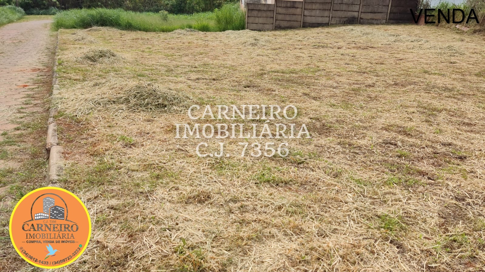 WhatsApp Image 2026-03-05 at 15.49.35 (1)