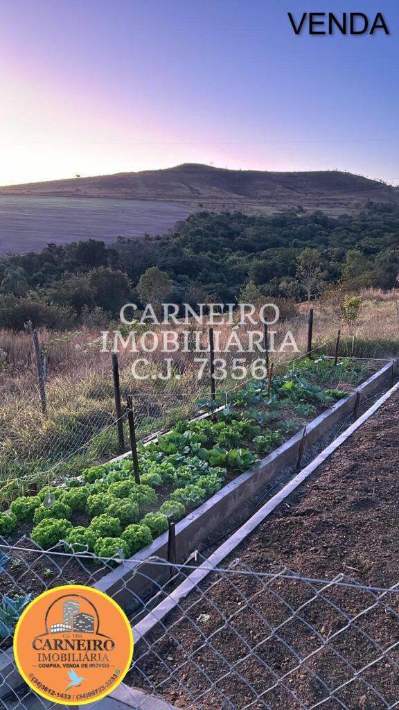 WhatsApp Image 2026-03-09 at 11.09.23 (2)