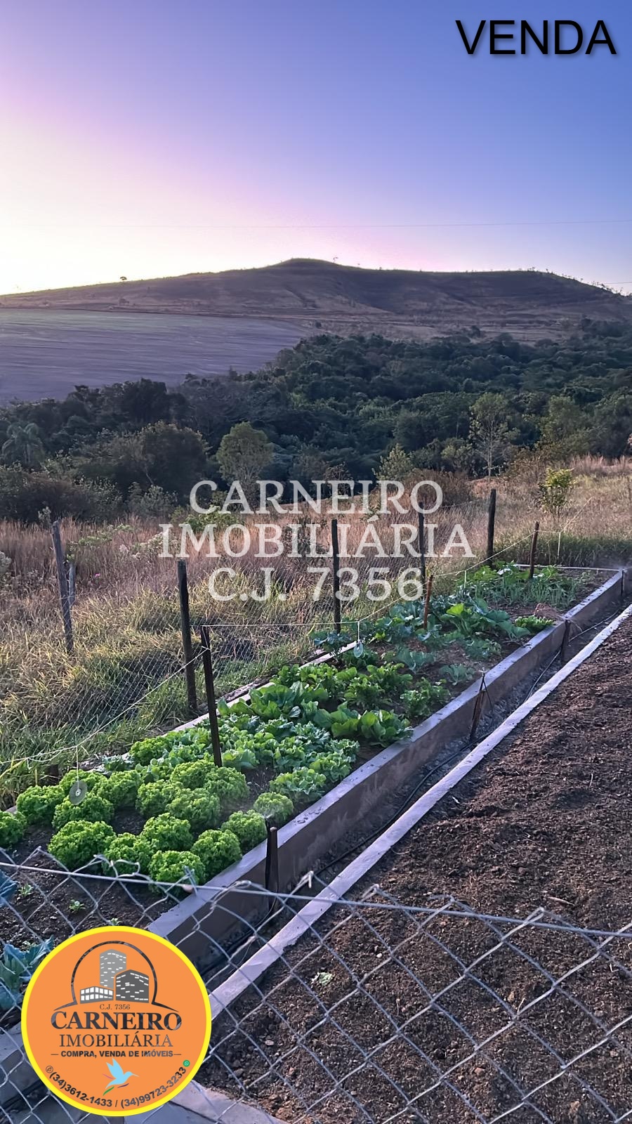 WhatsApp Image 2026-03-09 at 11.09.23 (2)