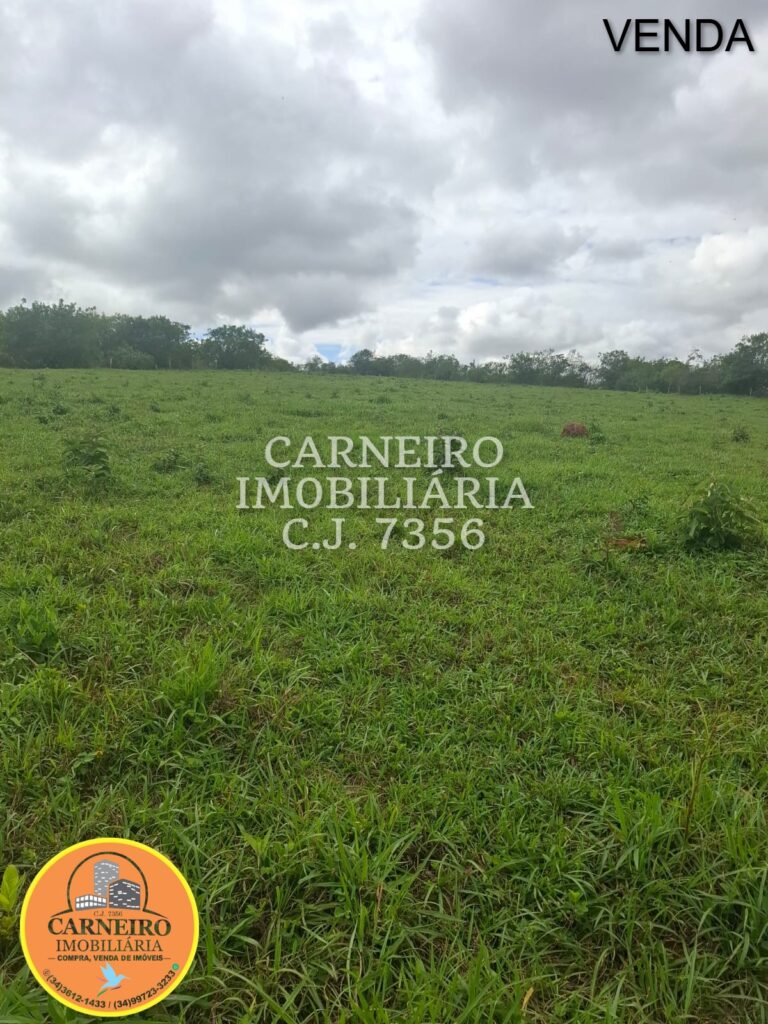 Meio Alqueire perto do Recanto dos Conqueiros – 210 mil